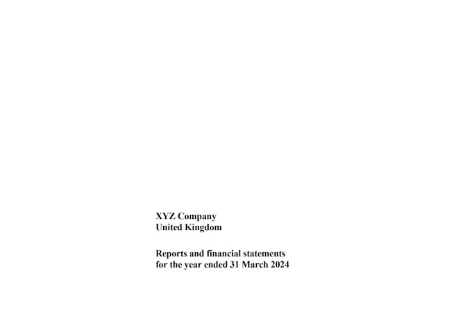 prepare statutory financial statements and consolidations